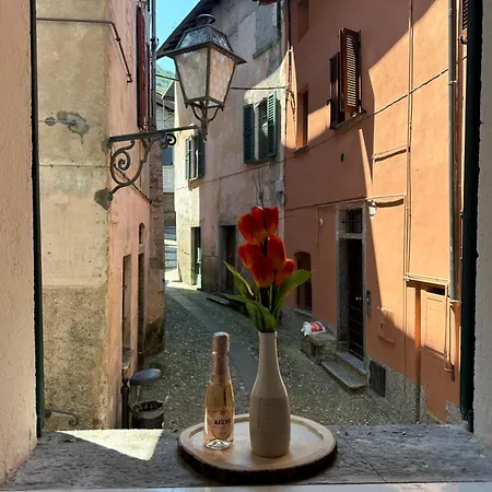 Wisteria Dreams - A Due Passi Dal Apartment Argegno