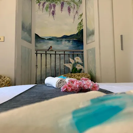 Wisteria Dreams - A Due Passi Dal *